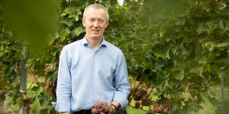 vi-halsar-pa-hos-weingut-leth