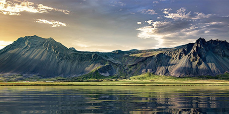 den-gulogda-pingvinen